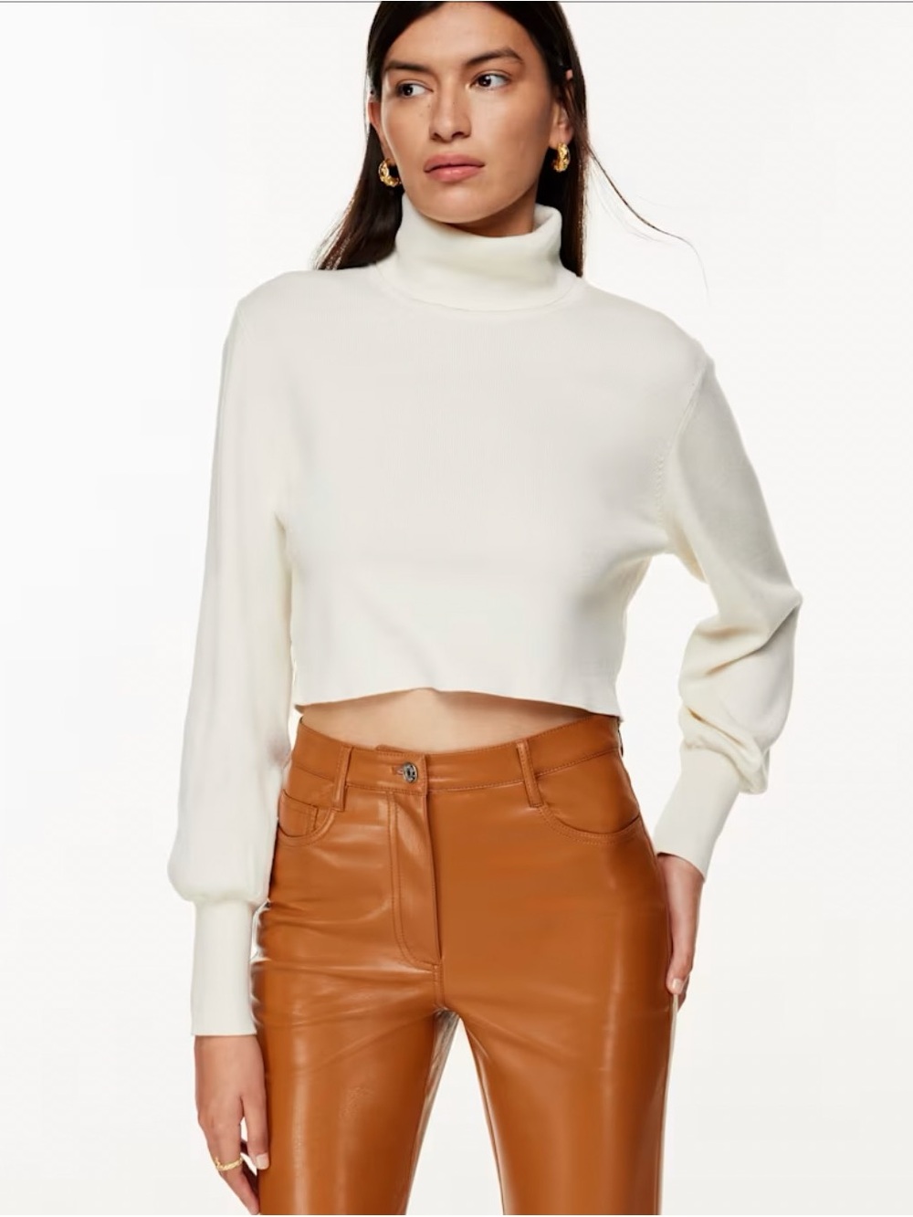 Aritzia Wildred Rebecca Turtleneck in Light Birch